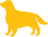 Pedigree® Medium Dog