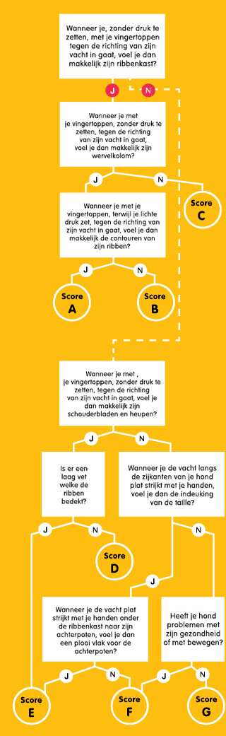 WALTHAM® SHAPE® Guide